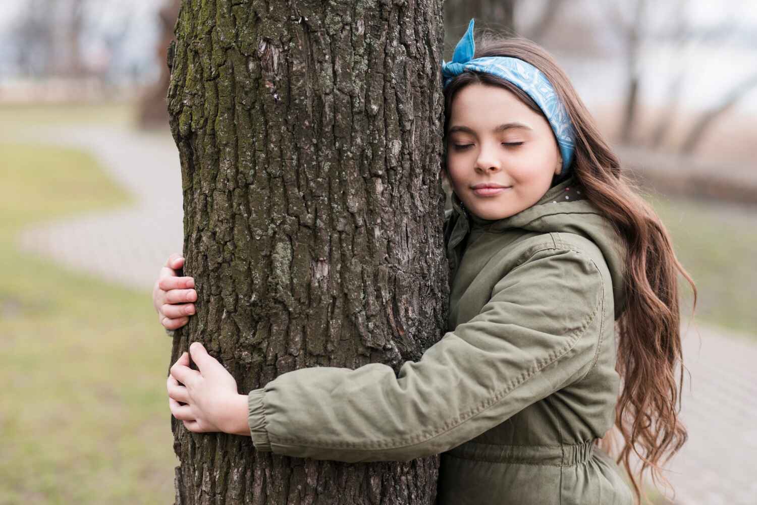 Tree Health Inspection in Cambridge, MD